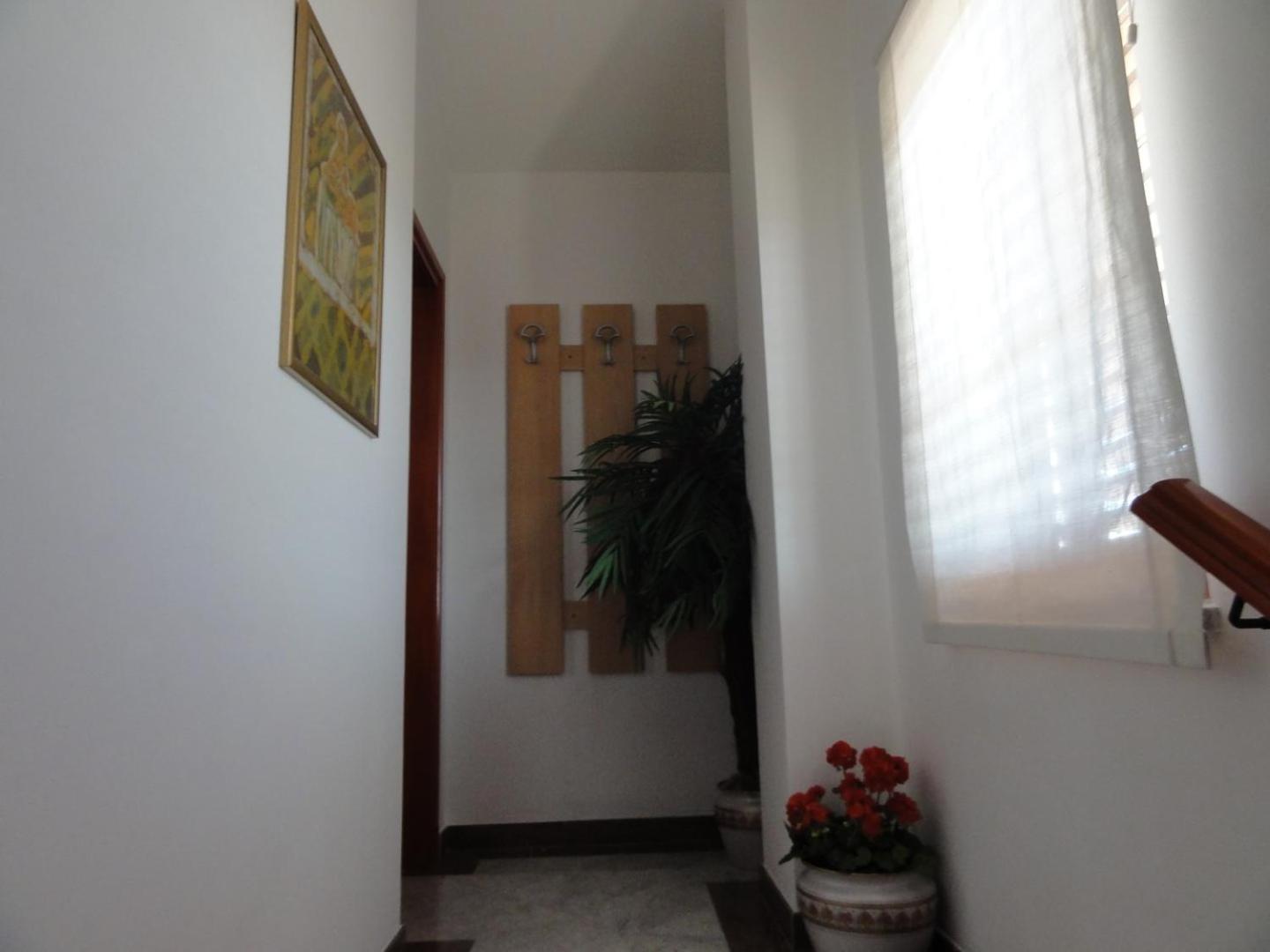 Cozy Apartments And Rooms Pavicini Segotici Ngoại thất bức ảnh